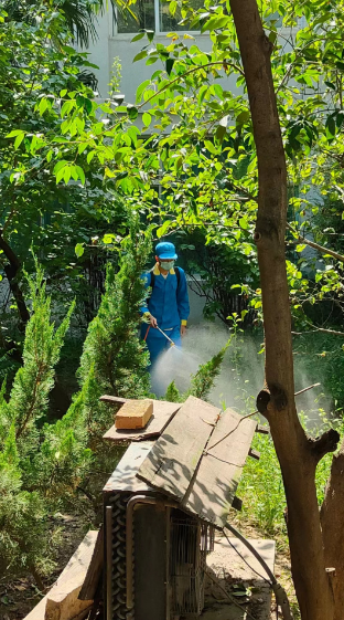 省直機關明園小區病媒生物防治